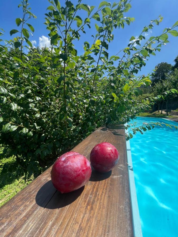 Quinta Das Ameixas - Country & Nature Arouca Exterior foto