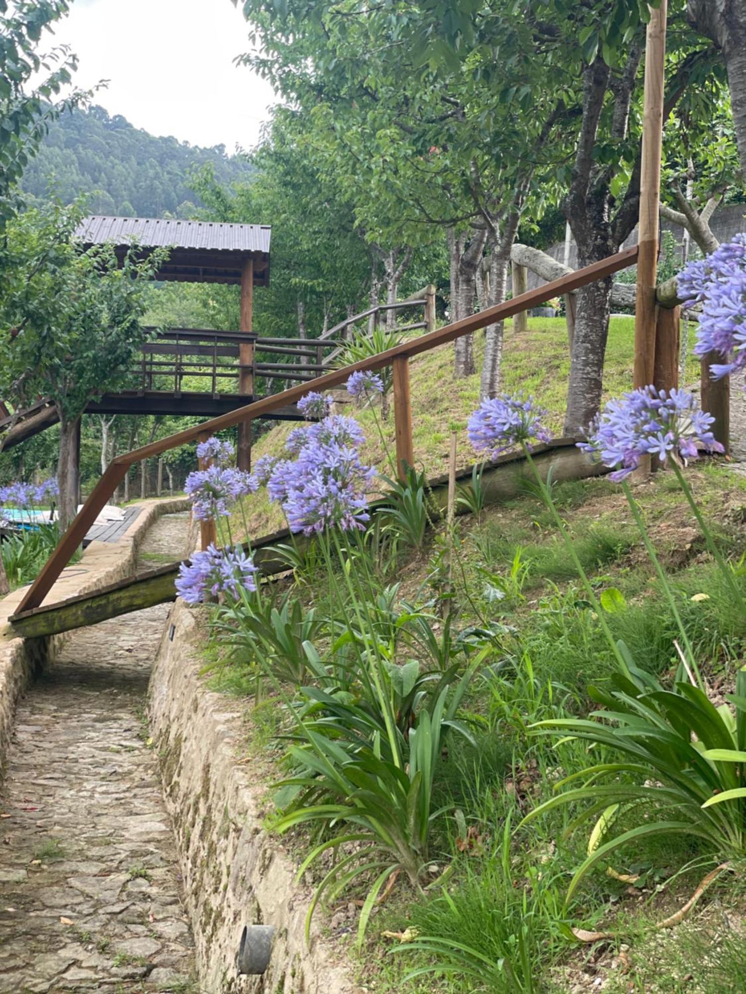 Quinta Das Ameixas - Country & Nature Arouca Exterior foto